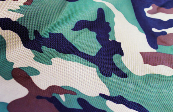 Military fabric pattern - Photo, Image