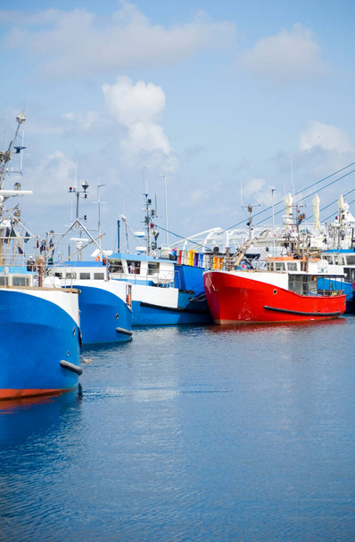 renkli balıkçı tekneleri limanda. - Fotoğraf, Görsel