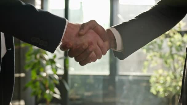Close-up male office corporate handshaking. Two unrecognizable men shake hands in company meeting sunny sun background. Diverse businessmen handshake successful business deal partnership cooperation - Footage, Video