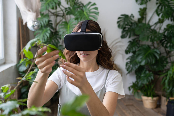 Jardinería casera, tecnología virtual, concepto metaverso. Mujer joven hispana tocando planta de interior en el espacio inmersivo VR. Mujer italiana usando gafas VR en invernadero. Realidad aumentada.  - Foto, imagen