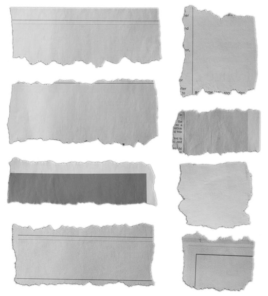 Восемь кусочков рваной бумаги на обычном фоне  - Фото, изображение