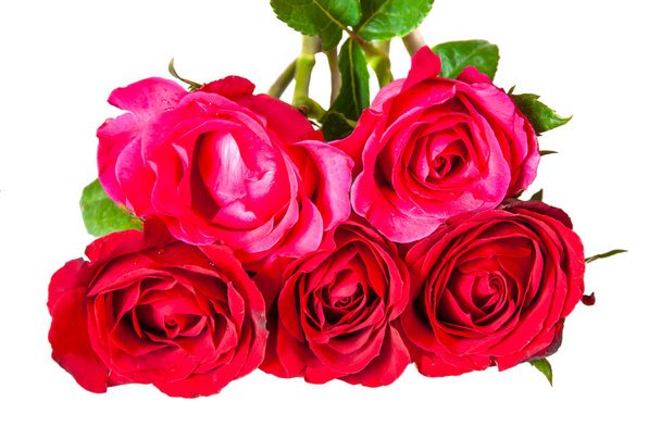 Bouquet of roses isolated on white background - Photo, image