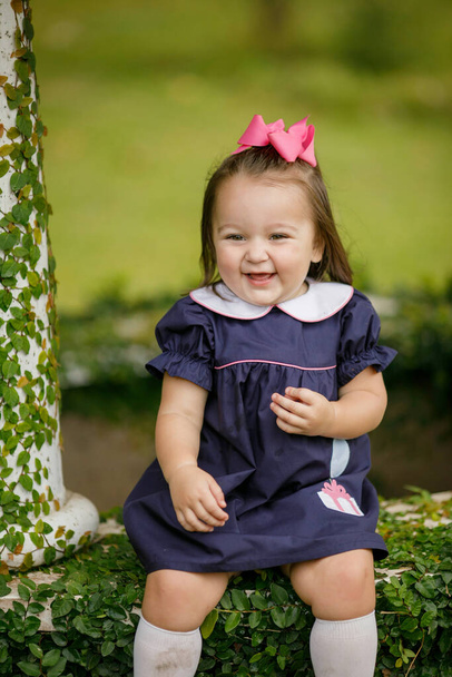 A cute little two year old toddler girl sitting outside in a navy blue dress. - Fotoğraf, Görsel