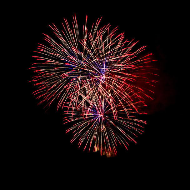Blooming firework mixed color of celebration night - 写真・画像