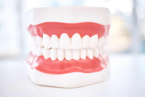 Dental, teeth model and orthodontics with healthcare and closeup, oral hygienist and health insurance. Veneers, dentistry equipment and healthy gums with fresh breath, medical and tooth care. - Fotoğraf, Görsel