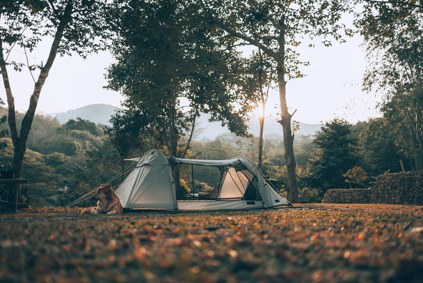 Gray tent on the grass in the forest The view behind is the mountain in the morning. Camping, Travel and holiday concept. - Фото, зображення