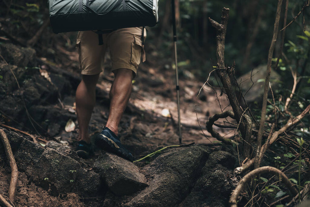 Hikers use trekking pole with backpacks walking through in the forest. hiking and adventure concept. - Фото, зображення