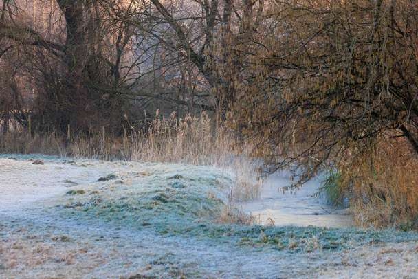 A stream with reeds on the bank meanders in Siebenbrunn near Augsburg  through a frost covered meadow - Photo, Image