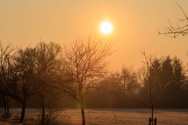 Ο ήλιος λάμπει χρυσή μέσα από την πρωινή ομίχλη στα λιβάδια οπωρώνα στο Siebenbrunn κοντά στο Augsburg - Φωτογραφία, εικόνα