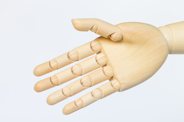 Дерев'яна модель рук на білому тлі
 - Фото, зображення