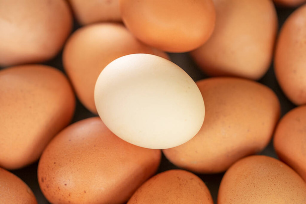 simple fresh light egg on top of brown eggs flatlay. Economic crisi - Zdjęcie, obraz