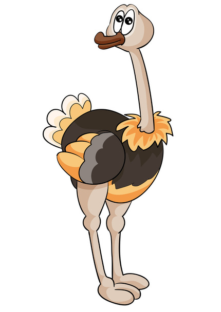 Ostrich Cartoon illustration - Vector, Image