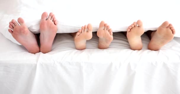 Three people under blanket with bare legs in bed. Group sex and lovers - Footage, Video
