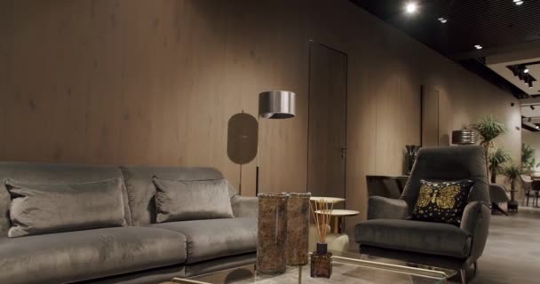 Moderno salón minimalista contemporáneo con muebles grises y pared de madera. Lujo interior de la casa moderna con sofá gris, sillas. Interior minimalista del hogar. Acogedor diseño de muebles modernos. - Imágenes, Vídeo