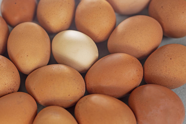 simple fresh light egg near brown eggs flatlay. Economic crisi - Foto, Imagem