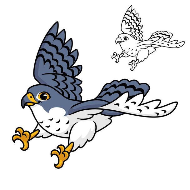 Söpö Peregrine Falcon Flying valmis Pounce saalis Line Art Drawing, Animal Birds, vektori merkki kuvitus, Sarjakuva Maskotti logo eristetty valkoinen tausta - Vektori, kuva