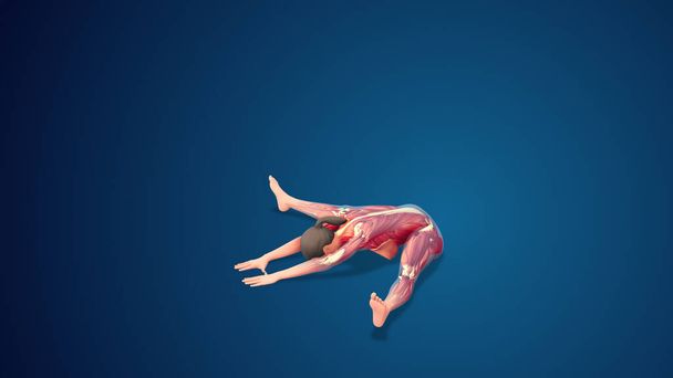 3D human Upavistha Konasana Or Seated Wide-Angle yoga pose on blue background - Fotó, kép