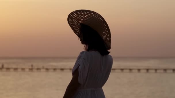 Χαλαρωμένο κορίτσι απογειώνεται καπέλο παίζοντας μαλλιά θαυμάζοντας τη θάλασσα στο ηλιοβασίλεμα πίσω άποψη panning πυροβόλησε αξιολάτρευτο ταξιδιωτική γυναίκα που εξετάζει θαλασσογραφία κύμα αργή κίνηση τουριστικό θηλυκό ποζάρουν στον ορίζοντα ηλιοφάνειας - Πλάνα, βίντεο
