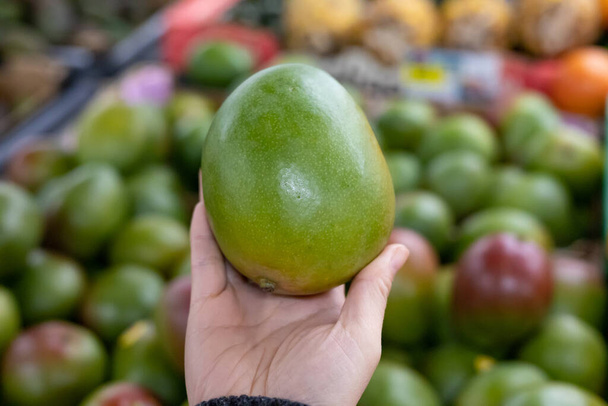 Жіноча рука вибирає зелений манго на ринку. Концепція здорової їжі, біо, вегетаріанська, дієта
. - Фото, зображення