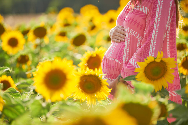pregnant female with hands on woman belly standing in sunflower fields. Family, pregnancy and motherhood concept - Fotoğraf, Görsel