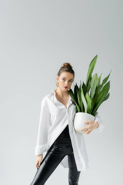 fiatal nő fehér túlméretes ing gazdaság virágcserép egzotikus növény elszigetelt szürke - Fotó, kép