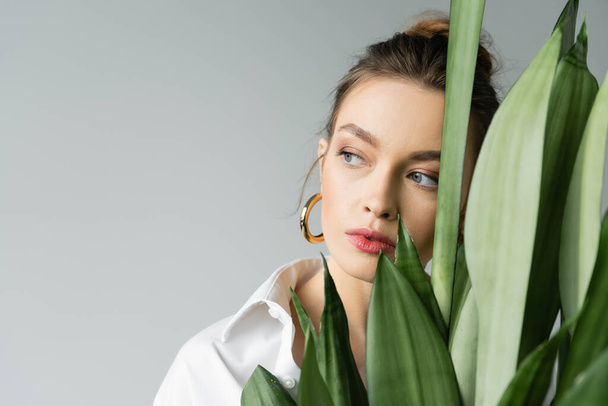 portrait of young woman with natural makeup looking away near leaves of exotic plant isolated on grey - Fotoğraf, Görsel