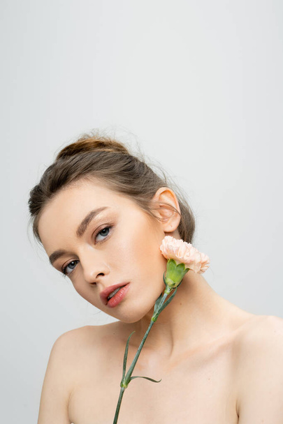 encantadora mujer con maquillaje natural que sostiene la flor del clavel cerca de la cara mientras mira a la cámara aislada en gris - Foto, Imagen