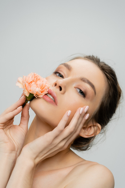 sensual woman holding fresh carnation near perfect face while looking at camera isolated on grey - Photo, Image