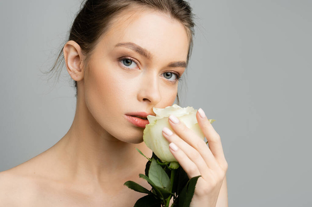 pretty woman with bare shoulders and natural makeup holding ivory rose and looking at camera isolated on grey - Photo, Image