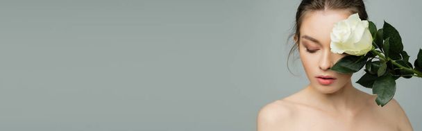 young woman with naked shoulders and perfect skin obscuring face with fresh rose isolated on grey, banner - Foto, Bild