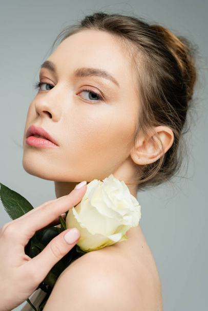 young sensual woman looking at camera and holding ivory rose near bare shoulder isolated on grey - Fotografie, Obrázek