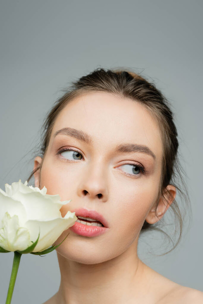portrait of charming woman with natural makeup looking away near white rose isolated on grey - Photo, Image