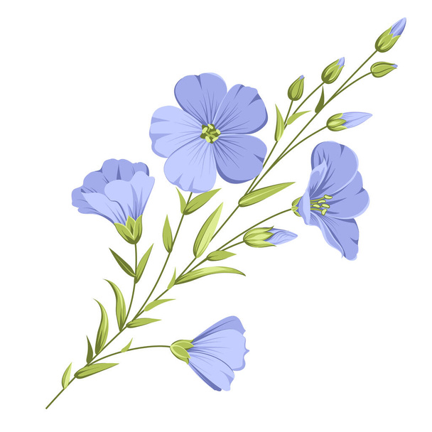 Vector illustration linen flowers. Isolated white background. Individual elements drawn flax - Vektori, kuva