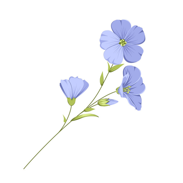 Εικονογράφηση διάνυσμα λινά λουλούδια. Απομονωμένο λευκό φόντο. Μεμονωμένα στοιχεία από λινάρι - Διάνυσμα, εικόνα