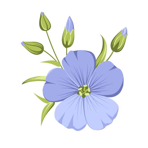 Vector illustration linen flowers. Isolated white background. Individual elements drawn flax - Vektor, obrázek