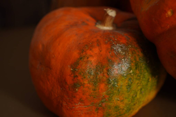 Een close-up foto van een fel oranje pompoen met vroege stadia van schimmelschade grijze schimmel. - Foto, afbeelding