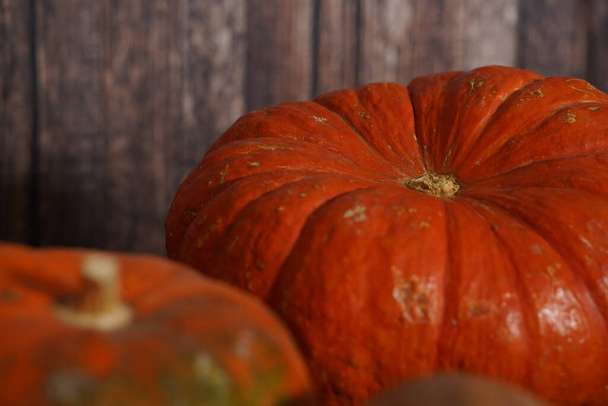A close up photo of a bright orange pumpkin with early stages of fungal damage grey mold. - Foto, Imagem