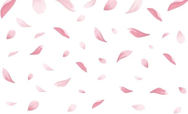 Падаючи Сакура, пелюстки вишневого цвіту накладаються зверху. Літаючі рожеві пелюстки реалістично зображені на білому фоні. Дизайн елементів для прапора, обкладинки, листівок, плакатів, запрошень, пошти соціальних медіа. - Вектор, зображення