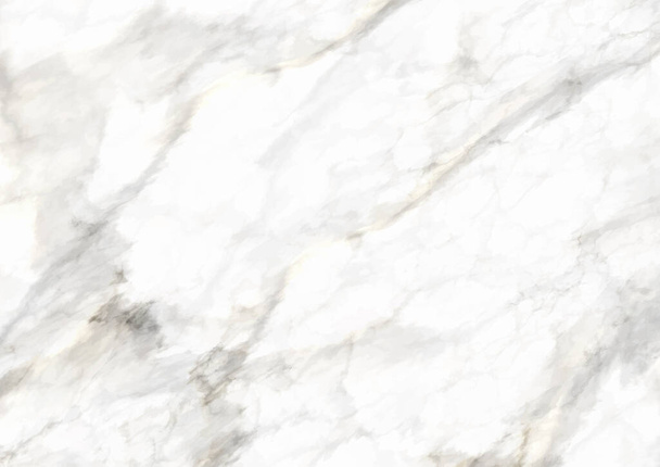 Elegant background with a detailed marble texture  - Vector, imagen