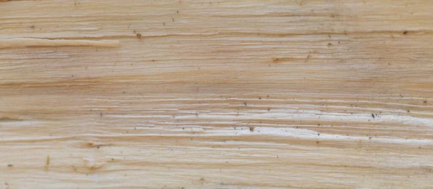 The Intricate Details of Split Wood: A Close-Up Texture Shot. - Zdjęcie, obraz