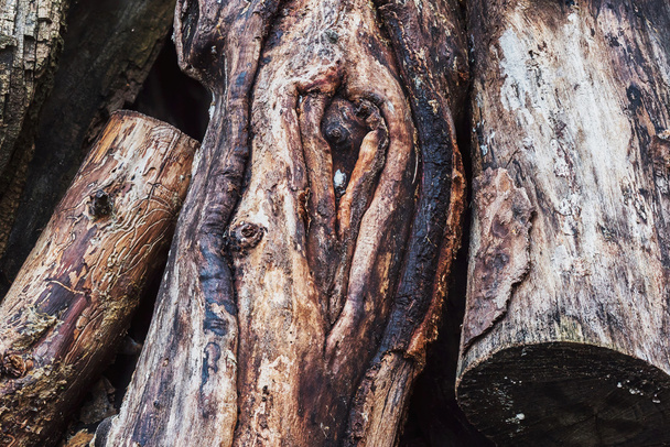Wooden logs - Fotoğraf, Görsel