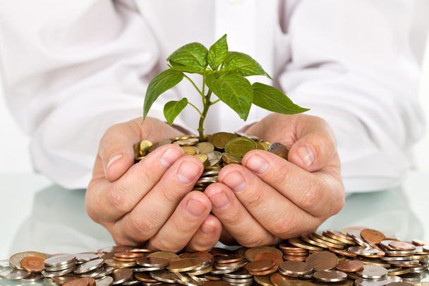 Making money and good investments concept - Photo, Image