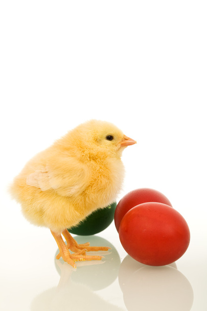 イースター赤ん坊チキンのカラフルな卵 - 写真・画像