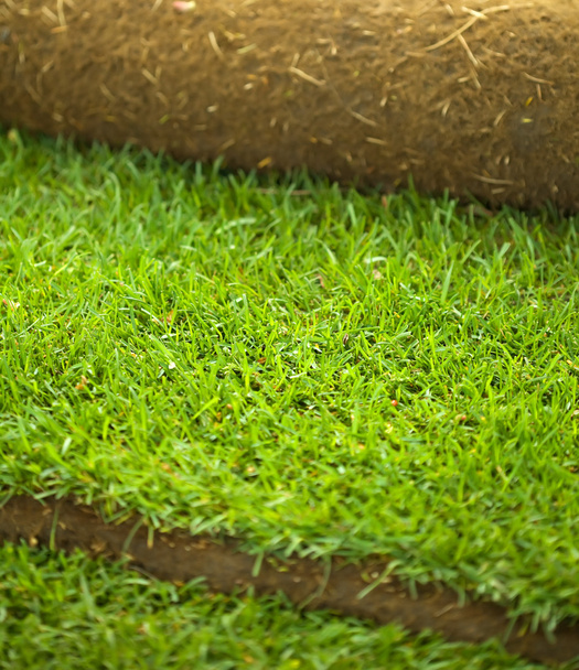 Рулон трави карниз крупним планом
 - Фото, зображення