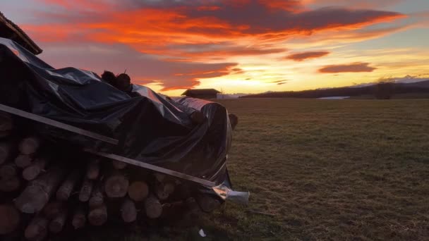 Drewniane kłody zebrane na wsi o zachodzie słońca - Materiał filmowy, wideo
