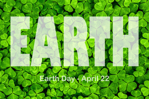 Lettering Earth Day April 22 on the background of clover leaves. Earth day concept, protection of the planet from pollution, improvement of environmental ecology and nature conservation. - Foto, Imagem