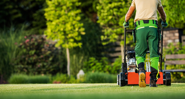 Back View of Professional Gardener Mowing the Backyard Lawn with Push Mower. Garden Care and Maintenance Theme. - Photo, Image