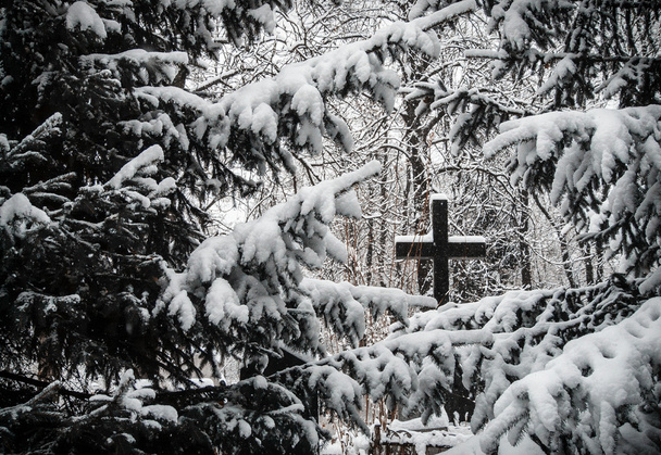 Cementerio en invierno
 - Foto, imagen