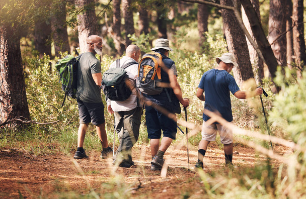 Hiking, trekking and group of friends in forest for adventure, freedom and cardio wellness on mountain trail. Travel, sports and back of senior hikers for exercise, fitness and walking in retirement. - Fotoğraf, Görsel
