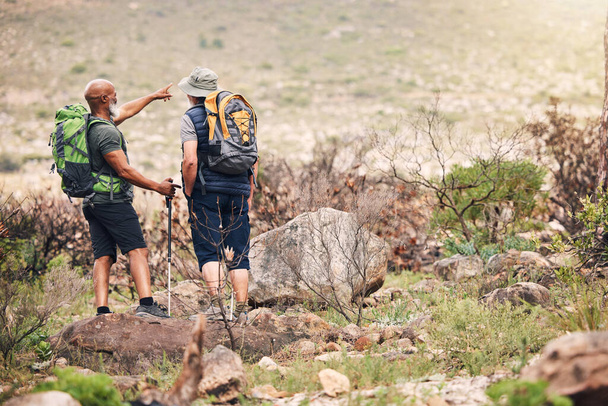 People, friends and hiking on mountain pointing with backpack for travel, adventure or trekking in nature. Hiker men with stick standing on rock together for traveling trail or backpacking outdoors. - Photo, image